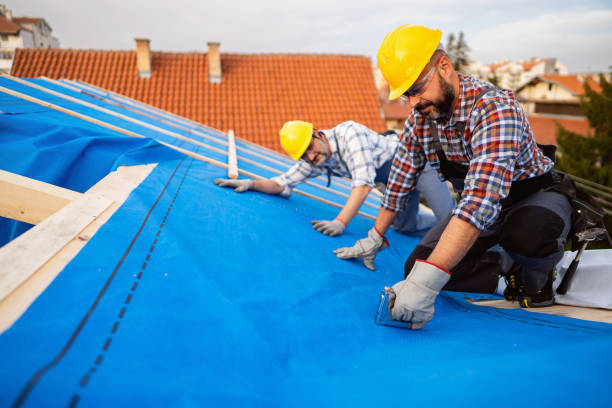 Best Roof Waterproofing Services  in Forestville, CA