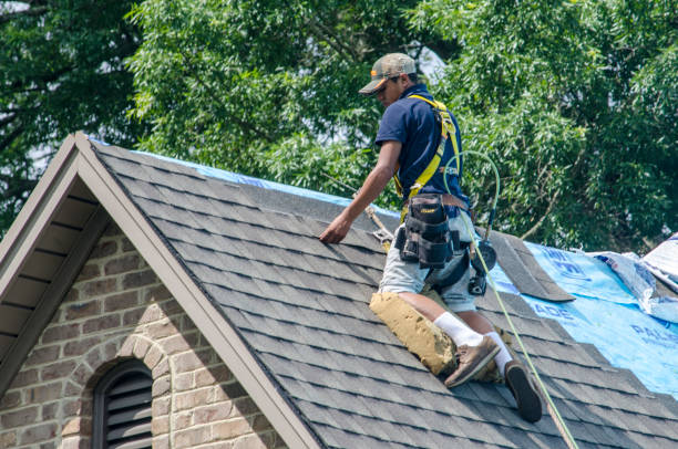 Best Best Roofing Contractors  in Forestville, CA